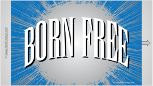 Born Free Slide Show
